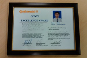 2008 Continental Excellence Award